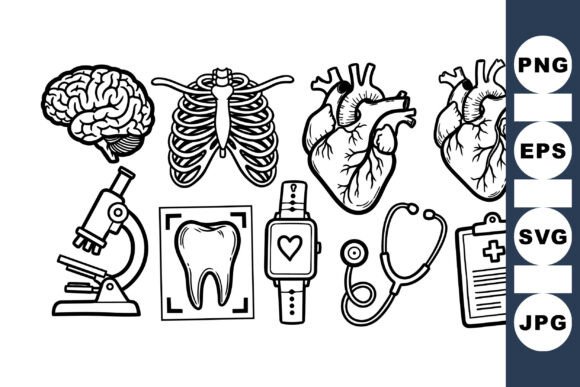 Download Anatomy Medical Science Clipart Set - Set Collection
